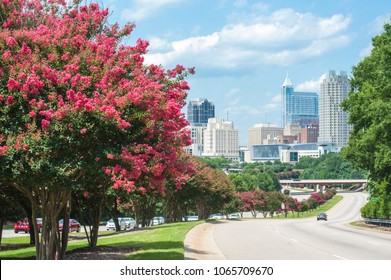 Raleigh skyline in the summer with crepe myrtle trees in bloom - Shutterstock ID 1065709670