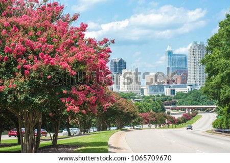 Raleigh skyline in the summer with crepe myrtle trees in bloom