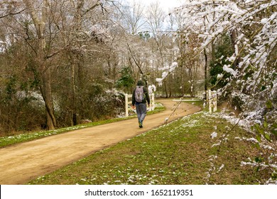 Raleigh,NC/USA-2/21/20: Hiking The Neuse River Trail In Winter.