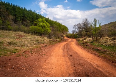 Rally Path In Forest. Road Of Old Dirt Rally Track. 