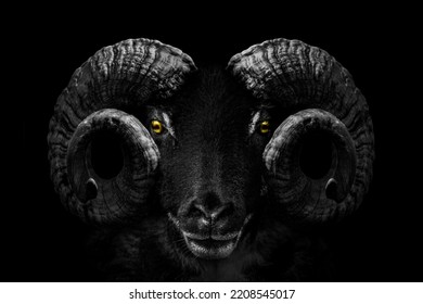 Ram animal , Close up of head and horns of a wild big horned , isolated black white	 - Shutterstock ID 2208545017