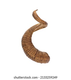ram horns isolated on white background - Shutterstock ID 2133259249