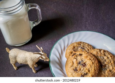 Ram Looks At A Mid Afternoon Snack On A Black Background.