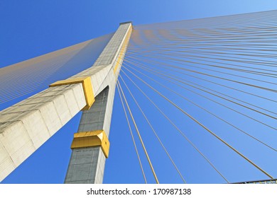The Rama VIII Cable Bridge,Bangkok,Thai land 