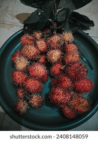 Rambutan is a tropical plant that belongs to the lerak-lerakan tribe or Sapindaceae, originating from island areas in Southeast Asia.