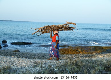 Rameswaram- Tamilnadu- India-03- 24-2019- Asian Villager  Woman Carrying Heavy Load Of Fire Wood Walking By The Sea.