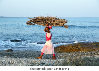 Rameswaram- Tamilnadu- India-03- 24-2019- Asian Villager  Woman Carrying Heavy Load Of Fire Wood Walking By The Sea.