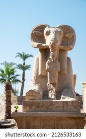 Ram-headed sphinxes at Karnak Temple, Thebes, dedicated to Amun, Luxor, Egypt