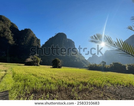 Similar – Image, Stock Photo Vegetation and karst landscape of mountains and islands in the Thien Canh Son area of Ha Long Bay in Vietnam, Southeast Asia
