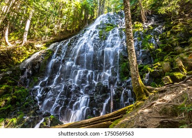 Ramona Falls In Mount Hood National Forest