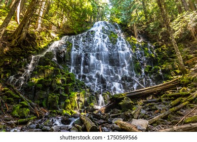 Ramona Falls In Mount Hood National Forest