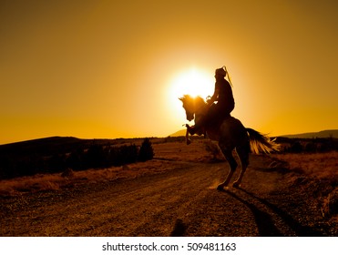 Rampant Horse Groom Silhouette Sunset Stock Photo 509481163 | Shutterstock