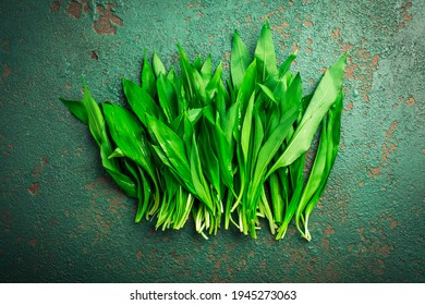 Ramson Or Bear Leek (Allium Ursinum) On Kitchen Table.