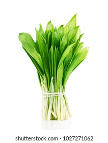 Ramson bunch vegetable isolated on white background