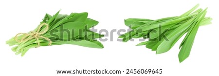 Ramson bunch vegetable isolated on white background with  full depth of field