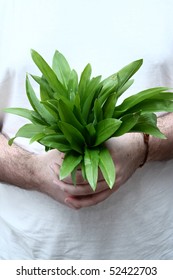 Ramsons