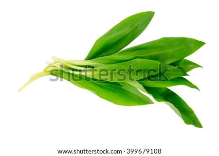 Ramsons (Wild Garlic) isolated on a white background. Food series.