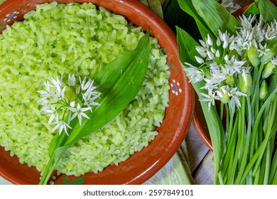 Ramsons (wild garlic leek ) risotto with parmesan cheese, served in a red pot and fresh ramson leaves and flowers