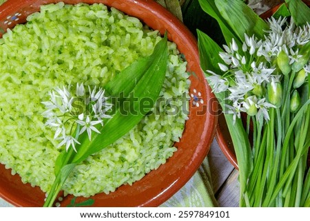 Ramsons (wild garlic leek ) risotto with parmesan cheese, served in a red pot and fresh ramson leaves and flowers