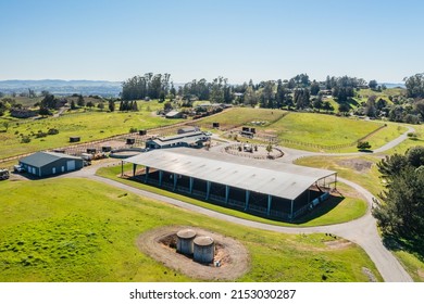 Ranch Area including 10,000 sq ft Horse Arena, Fields, and Several Homes on a 75 Acre, Sonoma Wine Country Estate, Horse Property, Drone Shot