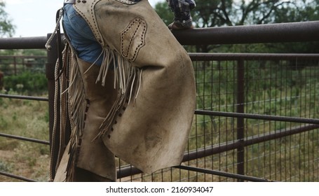 Ranch Hand Shows Chaps On Working Cowboy For Western Wear Lifestyle.