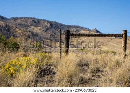 Ranch land in Wyoming.  Open countryside in Wyoming  Blue skies, fenced gate in foreground with yellow grasses to the horizon. 