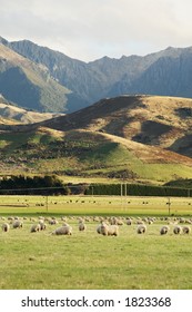 Ranch In Nz During Autumn