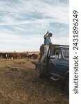 Rancher feeds hay to cattle in Eastern Washington pasture 