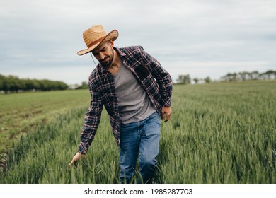 Rancher Walking Through Wheat Field