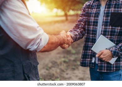 Ranchers Handshake In Walnut Orchard