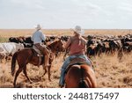 Ranchers Herding Cattle on a Ranch