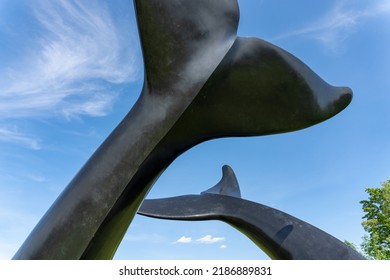 Randolph Vermont 2022 Whale Dance Cast Stock Photo 2186889831 ...