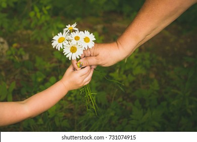 Random Act of Kindness - Shutterstock ID 731074915