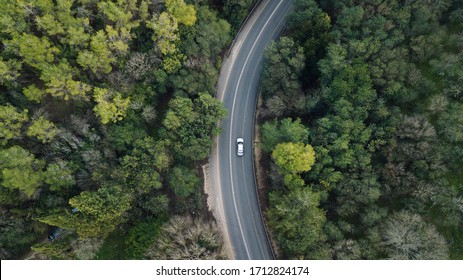 Random car drive on the road  in the middle of forest trees
