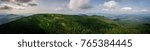 Random Forest Panorama
