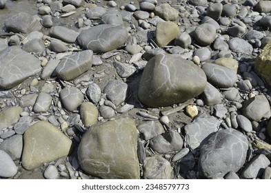 Random straight and curved patterned light coloured Marine Snail Trails or tracks, that have dried out over Grey Smooth Rocks, Boulders and Pebbles on a Beach in the Intertidal Zone in North Wales, UK