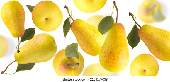 Randomly Falling Pears.Macro Isolated Pears On A White Background