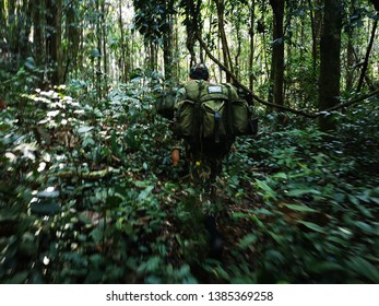 Ranger Smart Patrol In The Jungle