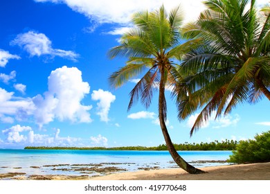 Rangiroa Atoll, Tuamotu Islands, French Polynesia.