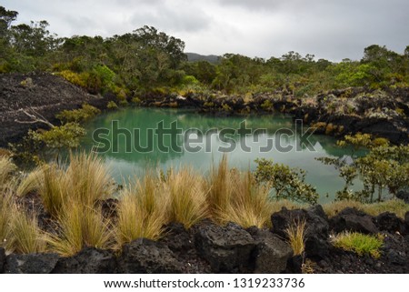 Rangitoto island volcanic area, New Zealand