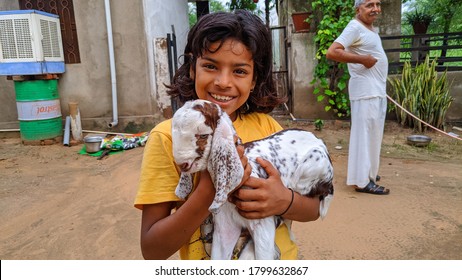 Ranoli, Jaipur, India-21 March 2020;
Toddler Indian Baby Petting Goat Kid. Cute Child Playing And Feeding Animals In Farmland.