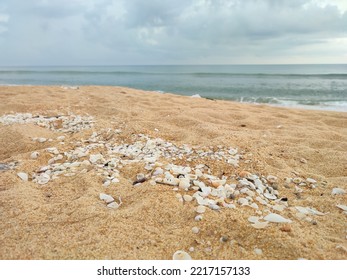 Rantau Abang Beach, Terengganu, Malaysia