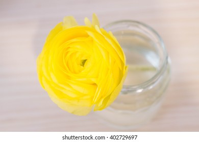 Ranunculus