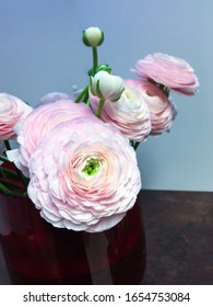 Ranunculus Flowers Var Cloni Success Hanoi Stock Photo 1654753084 ...