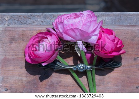 Ranunculus at Pentecost