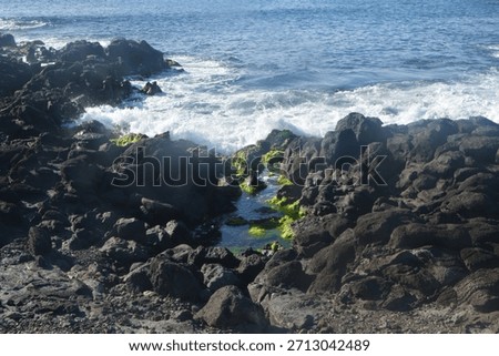 Rapanui, Easter, Island, moai, statues, Pacific, light, golden, sunrise, sunset, magic, mystical, serenity, peace, calm, landscape, ocean, volcanic, heritage, culture, ancient, stone, nature, sky