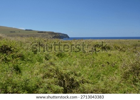 Rapanui, Easter, Island, moai, statues, Pacific, light, golden, sunrise, sunset, magic, mystical, serenity, peace, calm, landscape, ocean, volcanic, heritage, culture, ancient, stone, nature, sky, hor