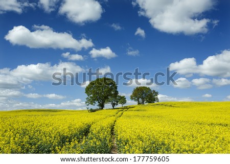 Similar – Image, Stock Photo Rape field in rolling hills landscape