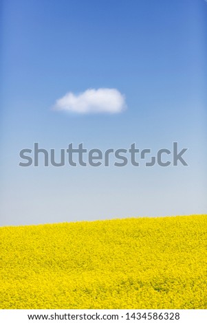 Similar – Image, Stock Photo A flowering field of rapeseed under a blue sky