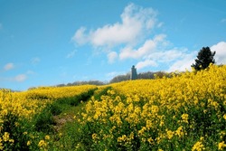 Rapeseed Field And Cloudy Blue Sky In South Yorkshire. Amazing English Landscape.